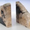 Buchstützen versteinertes holz 53480