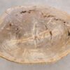 Coffee table petrified wood 56146