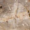 Coffee table petrified wood 56148