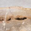 Coffee table petrified wood 56148