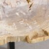 Coffee table petrified wood 56148