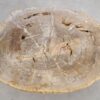 Coffee table petrified wood 56149