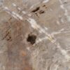 Coffee table petrified wood 56149