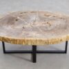 Coffee table petrified wood 56149