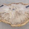 Coffee table petrified wood 56152