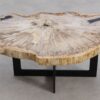 Coffee table petrified wood 56152