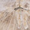 Coffee table petrified wood 56153