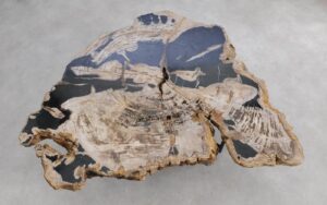 Coffee table petrified wood 56277