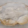 Coffee table petrified wood 57220