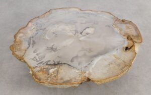 Coffee table petrified wood 57220