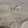 Coffee table petrified wood 57220