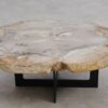 Coffee table petrified wood 57220