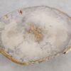 Coffee table petrified wood 57221