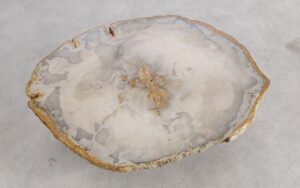 Coffee table petrified wood 57221
