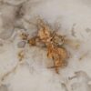 Coffee table petrified wood 57221