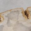 Coffee table petrified wood 57221
