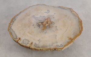 Coffee table petrified wood 57222