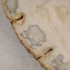 Coffee table petrified wood 57222