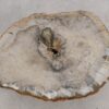 Coffee table petrified wood 57223