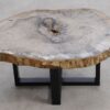 Coffee table petrified wood 57223