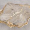 Coffee table petrified wood 57224