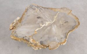 Coffee table petrified wood 57224