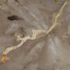 Coffee table petrified wood 57224