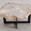 Coffee table petrified wood 57224