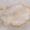 Coffee table petrified wood 57225