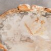 Coffee table petrified wood 57225