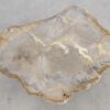 Coffee table petrified wood 57226