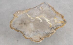 Coffee table petrified wood 57226