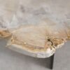Coffee table petrified wood 57226