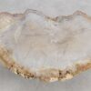 Coffee table petrified wood 57227