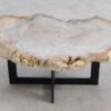 Coffee table petrified wood 57227