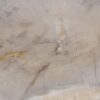 Coffee table petrified wood 57230