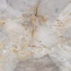 Coffee table petrified wood 57236