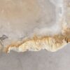 Coffee table petrified wood 57252