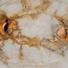 Coffee table petrified wood 57257