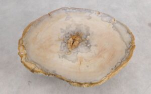 Coffee table petrified wood 57260