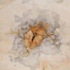 Coffee table petrified wood 57260