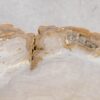 Coffee table petrified wood 57261