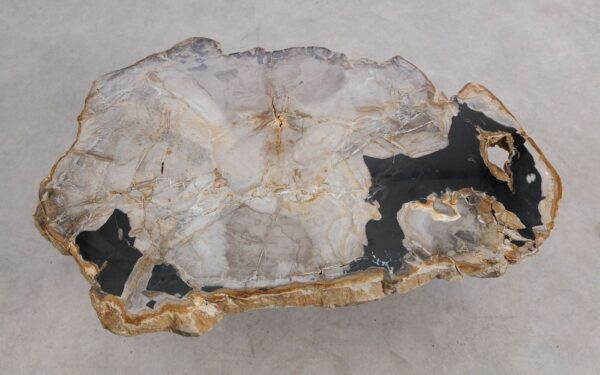 Coffee table petrified wood 57264