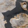 Coffee table petrified wood 57264