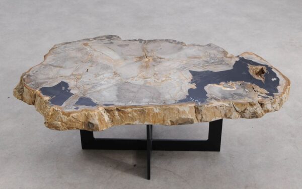 Coffee table petrified wood 57264