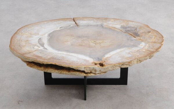 Coffee table petrified wood 57265