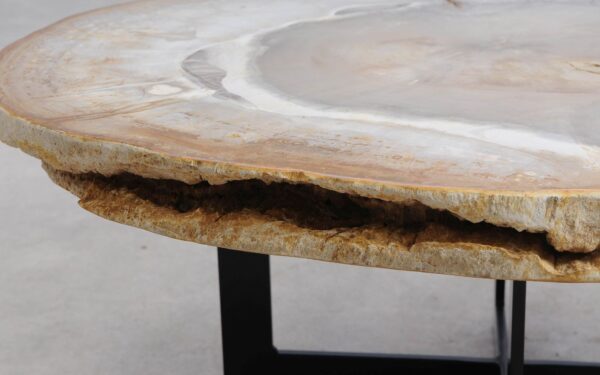 Coffee table petrified wood 57265