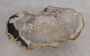 Coffee table petrified wood 57266