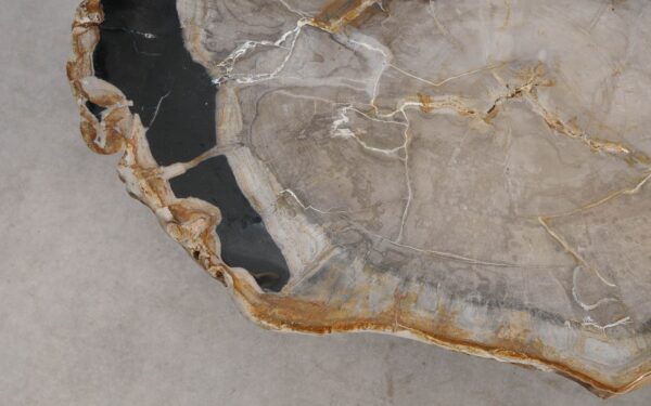 Coffee table petrified wood 57266