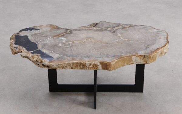 Coffee table petrified wood 57266